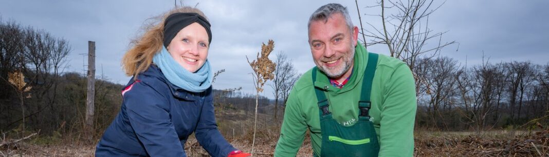Continental und „PLANT-MY-TREE. Die Stiftung.“: Nachhaltige Aufforstung und Bildung